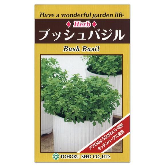 送料無料 トーホク ハーブ ブッシュバジル 種 一年草 家庭菜園 バジルのタネ たね 種子 Herb メボウキ