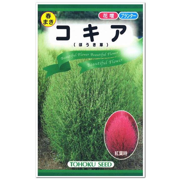トーホク コキア ほうき草 種 観葉植物 花壇 たね ガーデニング Treloen Co Uk
