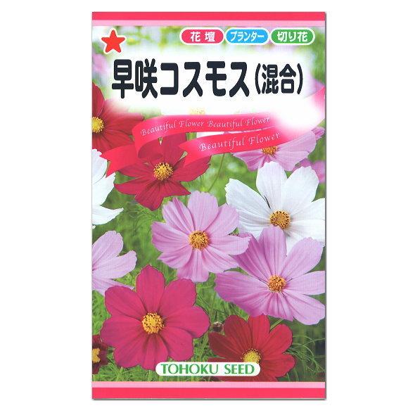 トーホク 早咲コスモス 白 桃 赤の混合 種 花壇 プランター 切花 たね タネ 種子 園芸 ガーデニング Z57 10 菜園ライフ 通販 Yahoo ショッピング