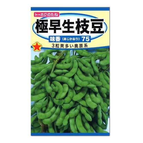 トーホク 極早生枝豆 夏香り75 種 生産地 北海道 えだまめ 家庭菜園 プランター栽培 エダマメのタネ たね 種子 夏野菜 福袋