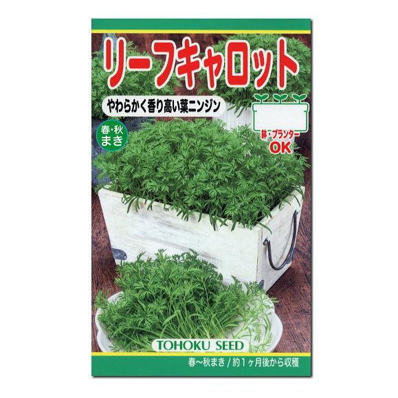 トーホク リーフキャロット 種 家庭菜園 人参 キャロット ニンジンのタネ 野菜 たね Z57 10 菜園ライフ 通販 Yahoo ショッピング