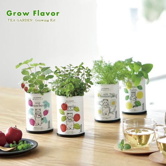 育てるフレーバー ハーブ栽培セット 選べる4種類 インテリアグリーン おしゃれ かわいい 栽培キット お洒落 ギフト プレゼント 母の日 Z62 10 2 菜園ライフ 通販 Yahoo ショッピング