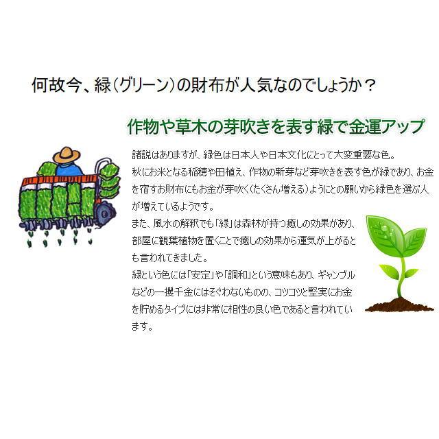 緑の錦蛇極薄長財布 |  | 04