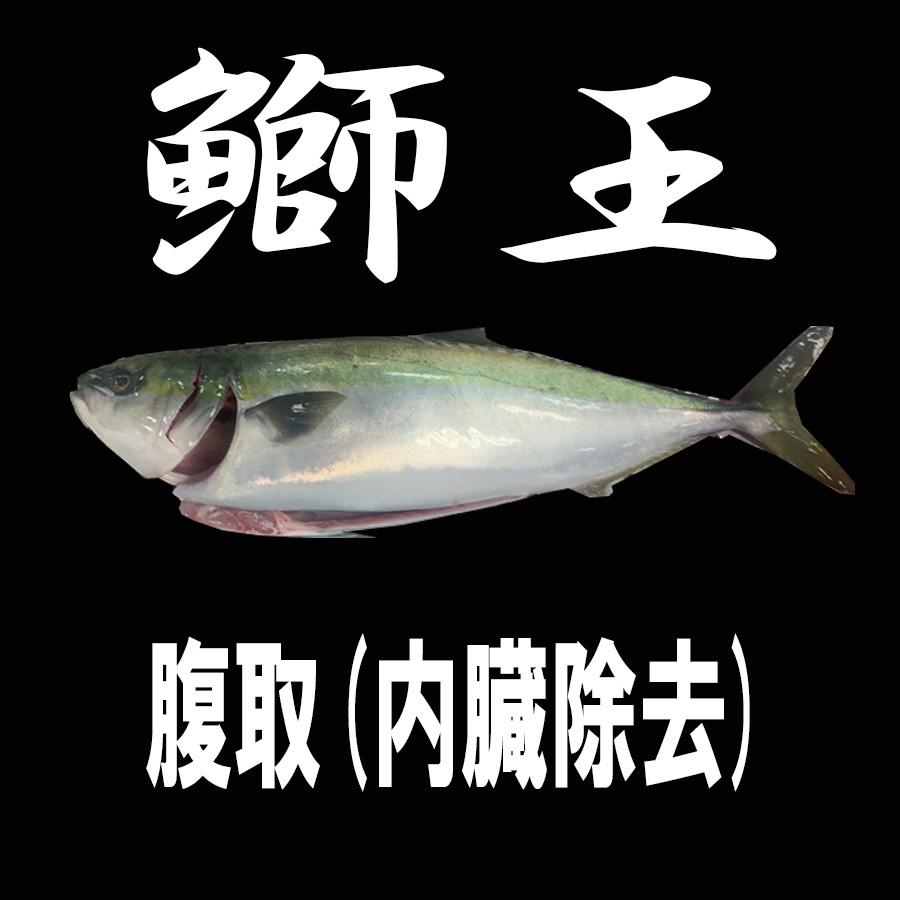 ブランド養殖ぶり 鰤王 丸魚 ラウンド 頭付き腹処理済 サイホク 通販 Yahoo ショッピング