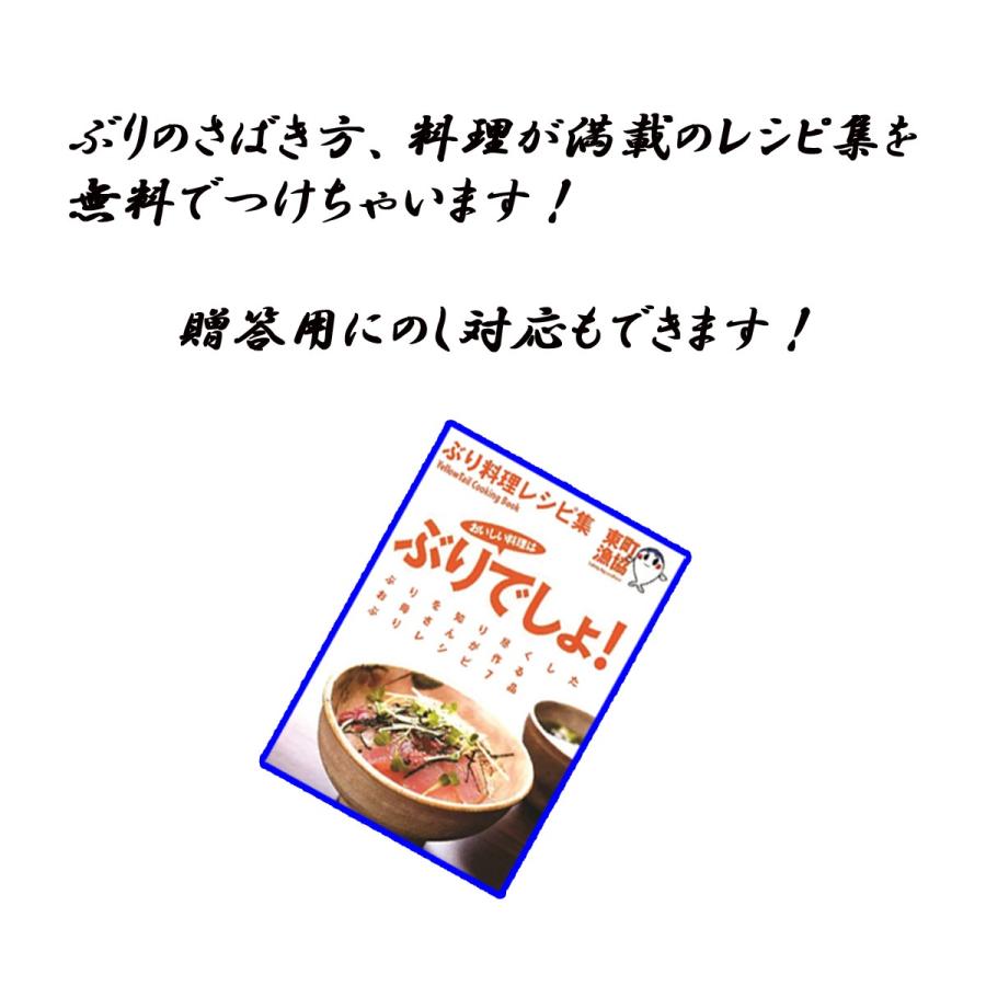 ブランド養殖ぶり 鰤王 半身 フィレ サイホク 通販 Yahoo ショッピング