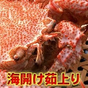 【未冷凍・訳あり】ゆであがり毛がに1.4kg前後(2から5尾入・北オホーツク産)