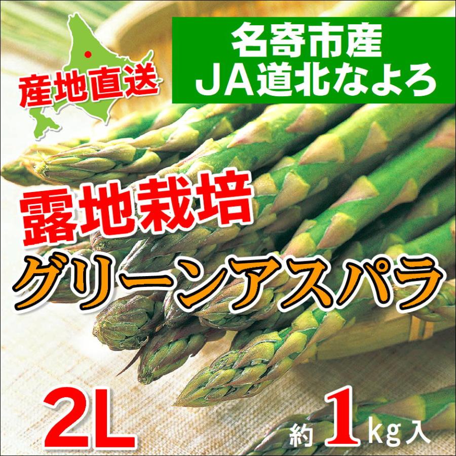C-2 名寄市産：JA道北なよろ露地栽培グリーンアスパラ 2Lサイズ・約1kg