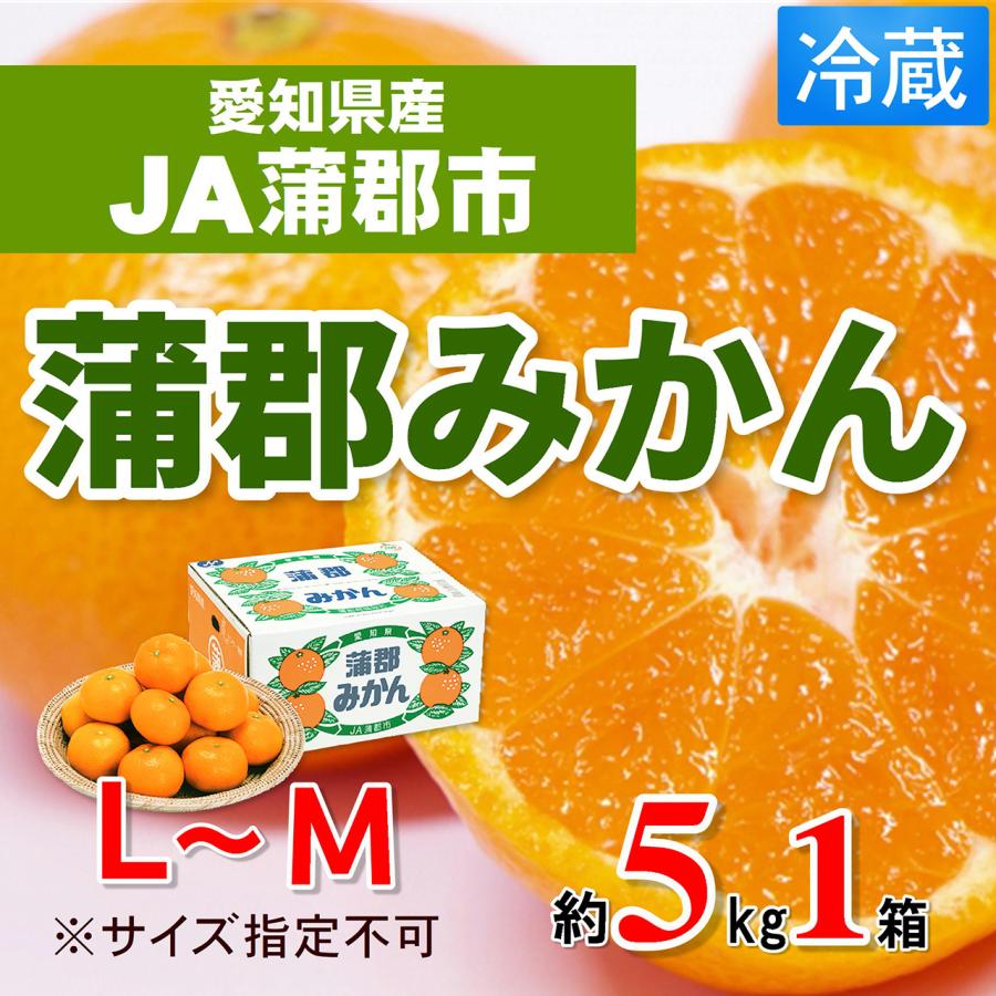 1510-19-08 愛知県産：JA蒲郡市 蒲郡みかん L〜Sサイズ・約5kg・1箱