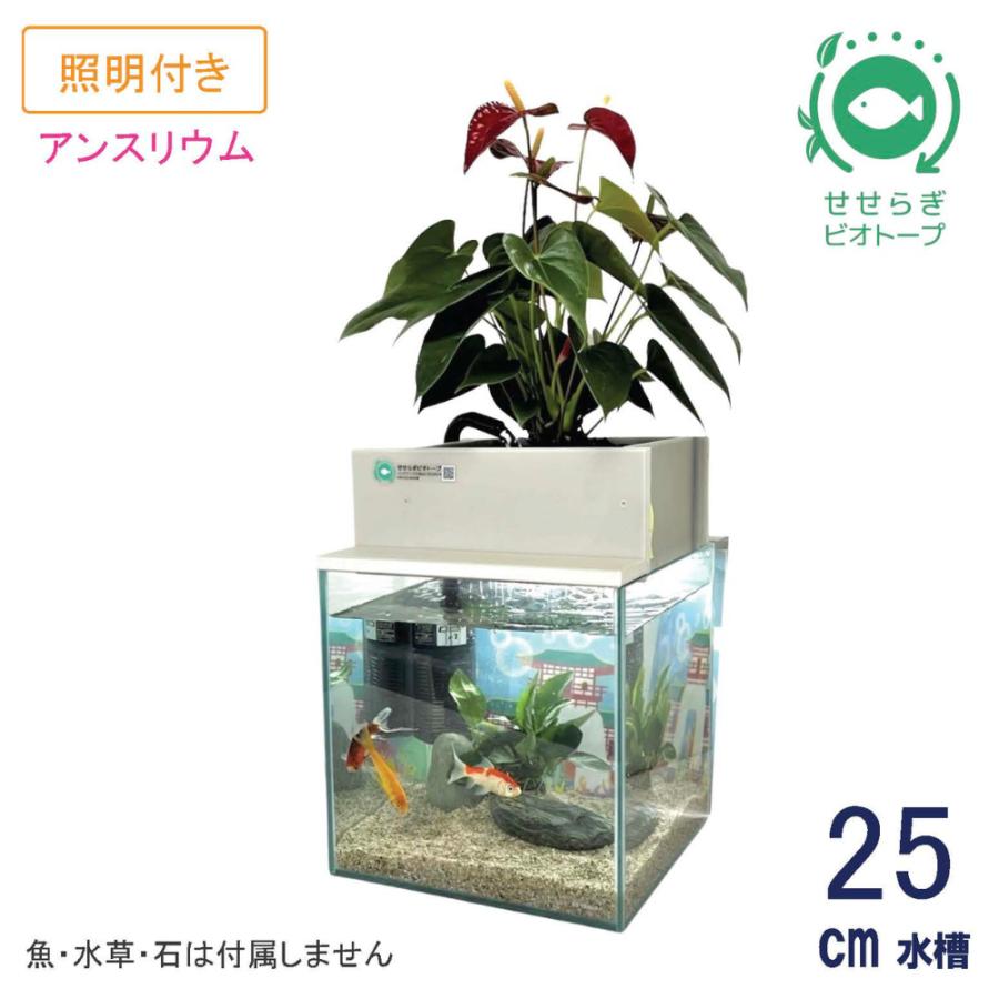送料無料】25cm型 基本セット(グレー)＋照明あり / [TVで紹介]水換え