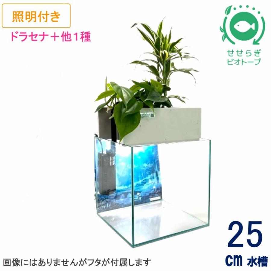 送料無料】25cm型 基本セット(グレー)＋照明あり / [TVで紹介]水換え