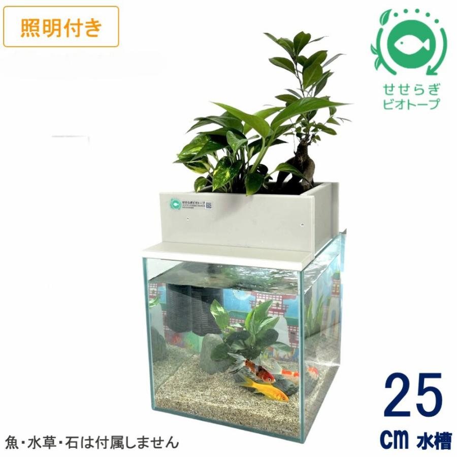 送料無料】25cm型 基本セット(グレー)＋照明あり / [TVで紹介]水換え