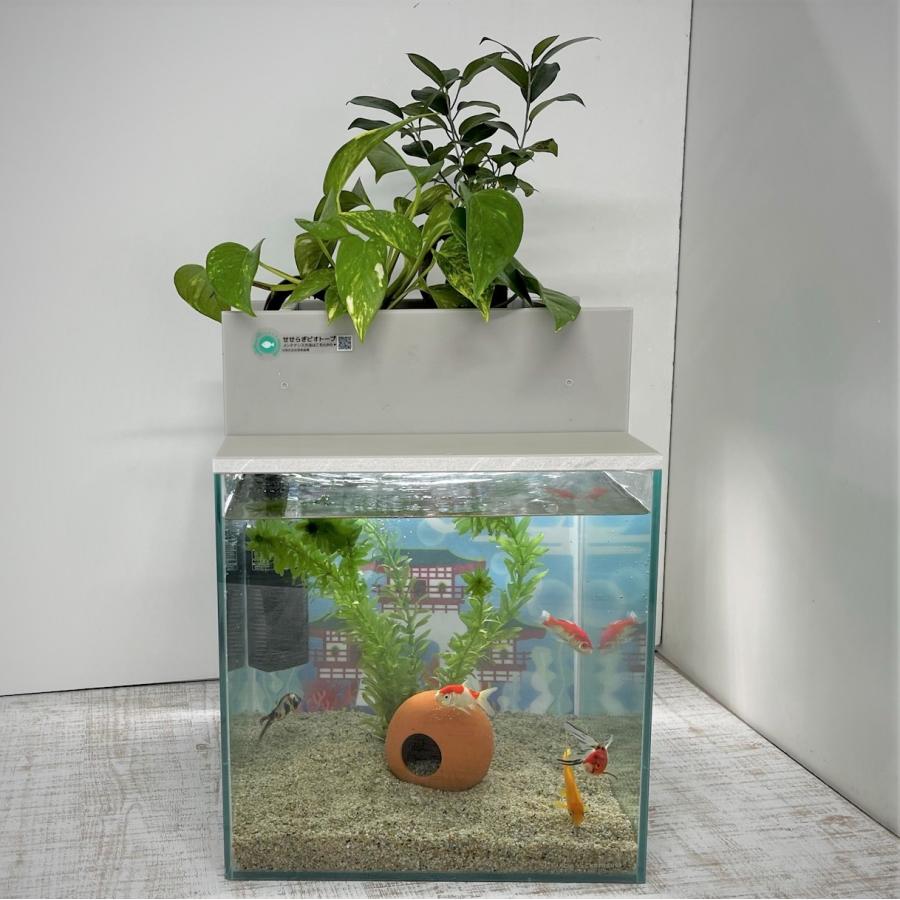 送料無料 せせらぎ室内ビオトープ 30型 27ｌ 基本 照明水槽セット 金魚の水槽にピッタリ インテリアにも最適 30 S 西条庭園 通販 Yahoo ショッピング