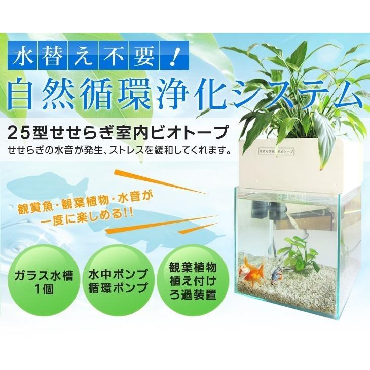 せせらぎビオトープ 水替え不要 木枠台セット アクアポニクス 水槽用 メダカ インテリア 25cm 西条庭園 癒やし Nhk おはよう日本 送料無料 熱帯魚 水音 金魚 観葉植物 15l まちかど情報室 照明なし