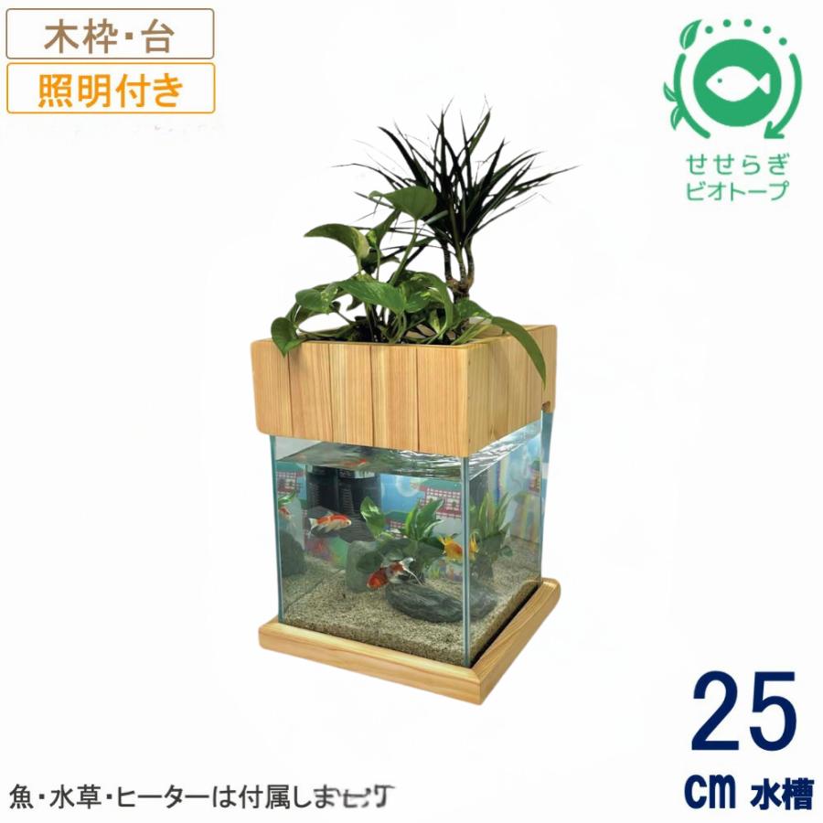 複数セット商品 自作 子水槽 その他 複数セット商品 自作 子水槽 その他 複数セット商品 自作 子水槽