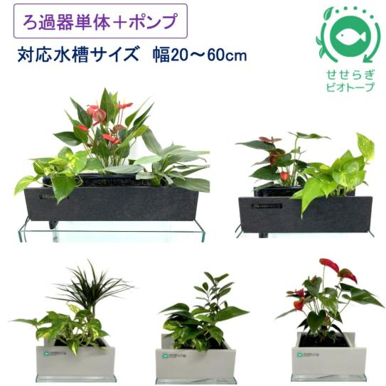 送料無料】45cm型 ろ過装置単体&循環ポンプ配管セット(水槽なし 送料無料】45cm型 ろ過装置単体&循環ポンプ配管セット(水槽なし