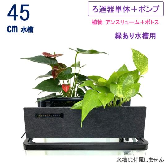 送料無料】45cm型 ろ過装置単体&循環ポンプ配管セット(水槽なし 送料無料】45cm型 ろ過装置単体&循環ポンプ配管セット(水槽なし