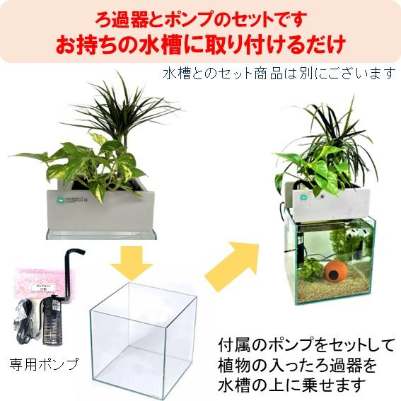 送料無料】45cm型 ろ過装置単体&循環ポンプ配管セット(水槽なし 送料無料】45cm型 ろ過装置単体&循環ポンプ配管セット(水槽なし