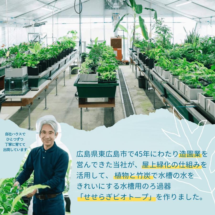 送料無料】45cm型 ろ過装置単体＆循環ポンプ配管セット(水槽なし