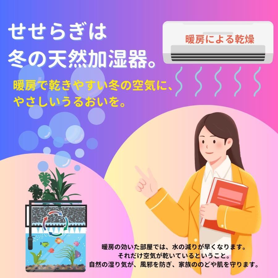 送料無料】60cm型 せせらぎビオトープ ろ過装置単体(水槽なし)金魚や