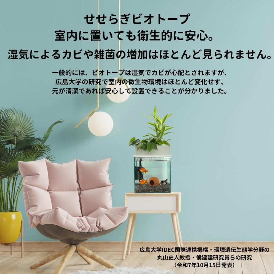 送料無料】60cm型 せせらぎビオトープ ろ過装置単体(水槽なし)金魚や