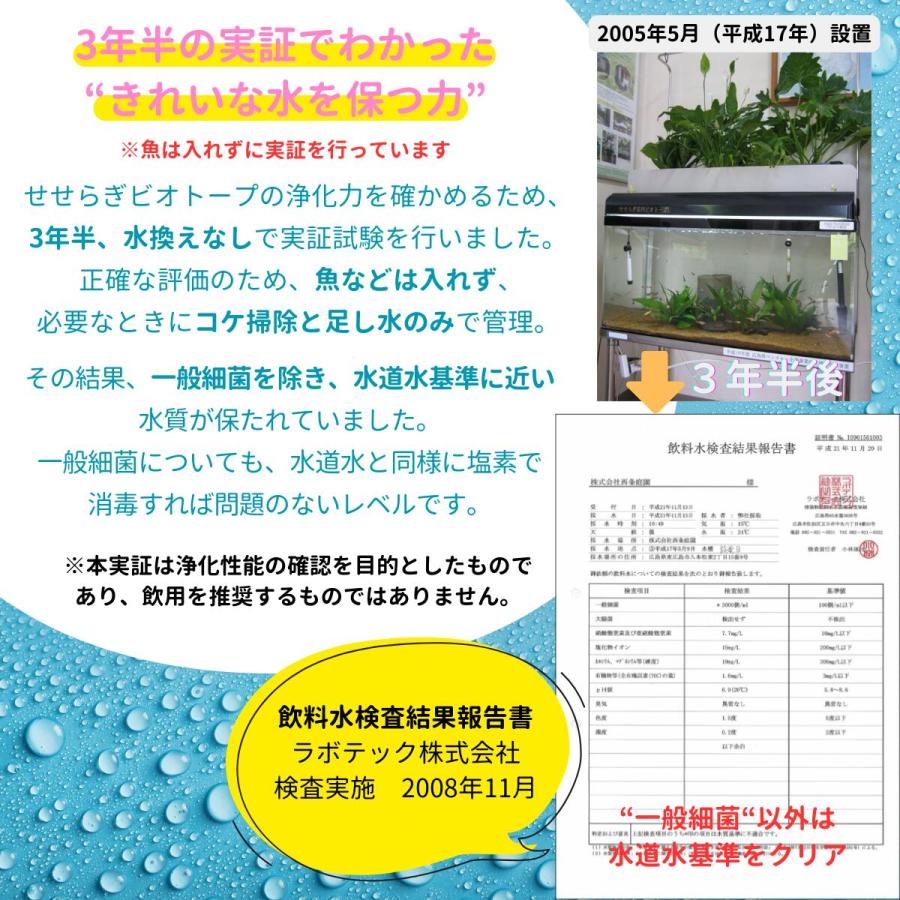 送料無料】60cm型 せせらぎビオトープ ろ過装置単体(水槽なし)金魚や