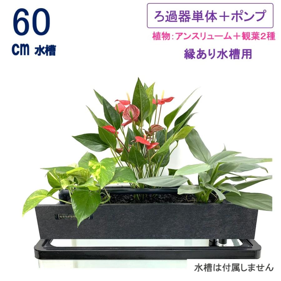 送料無料】60cm型 せせらぎビオトープ ろ過装置単体(水槽なし