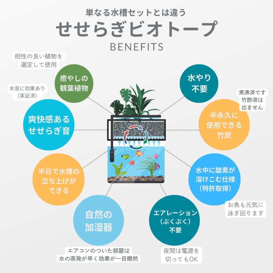 送料無料】60cm型 せせらぎビオトープ ろ過装置単体(水槽なし)金魚や