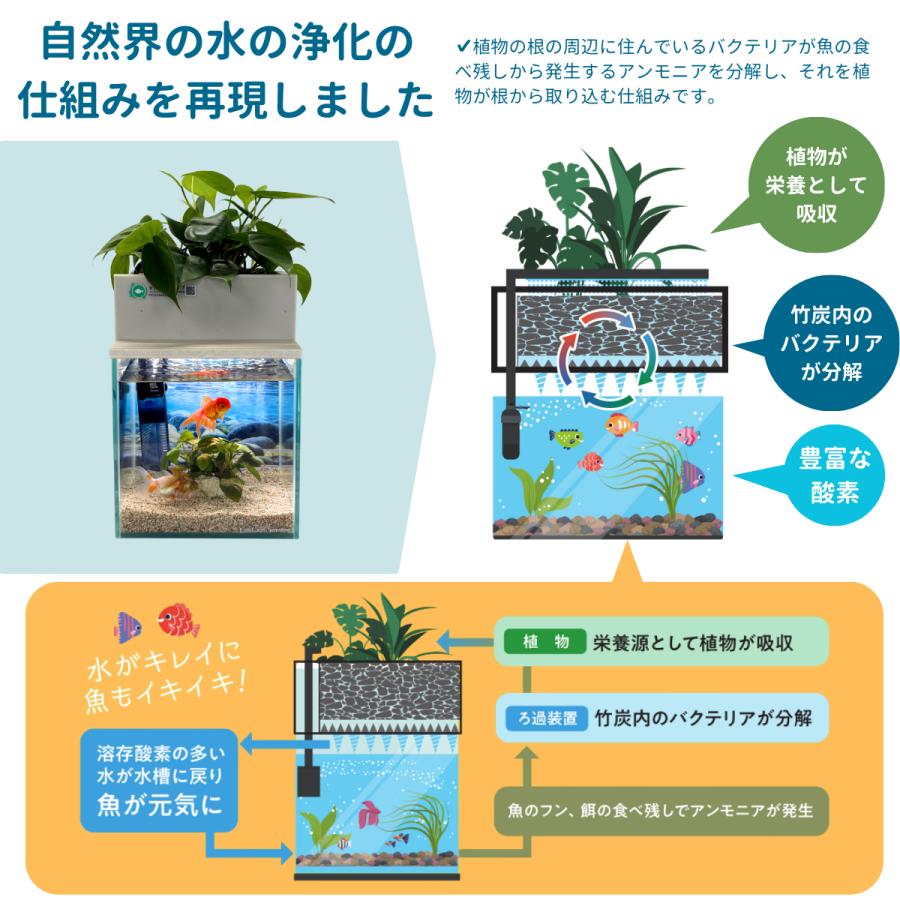 送料無料】60cm型 せせらぎビオトープ ろ過装置単体(水槽なし)金魚や