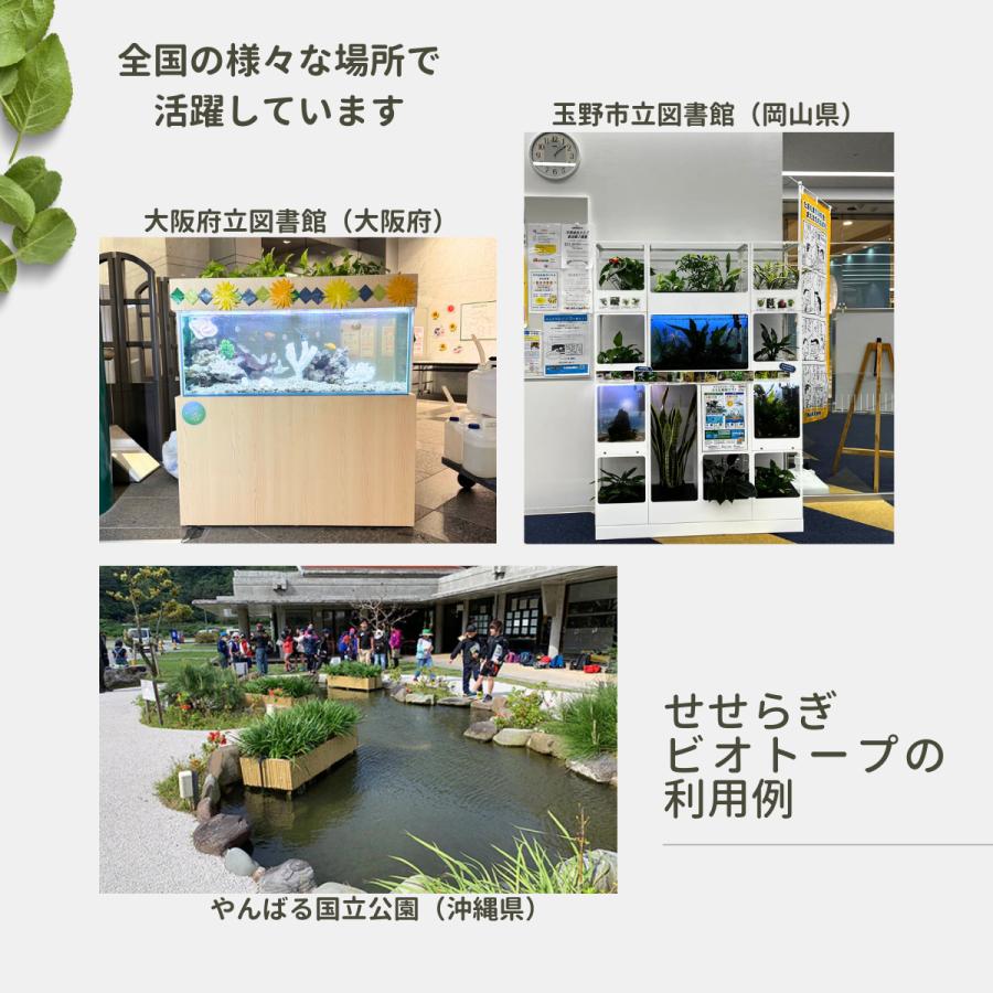 送料無料】60cm型 せせらぎビオトープ ろ過装置単体(水槽なし)金魚や