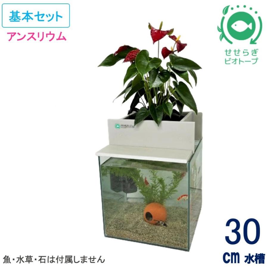 送料無料】30cm型 基本セット(グレー) / [TVで紹介]水換え不要