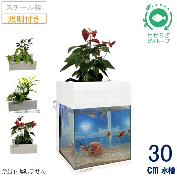 送料無料】30cm型 基本セット+スチール枠+照明あり / [TVで 送料無料】30cm型 基本セット+スチール枠+照明あり / [TVで