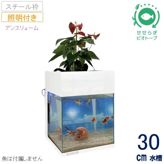 送料無料】30cm型 基本セット+スチール枠+照明あり / [TVで 送料無料】30cm型 基本セット+スチール枠+照明あり / [TVで