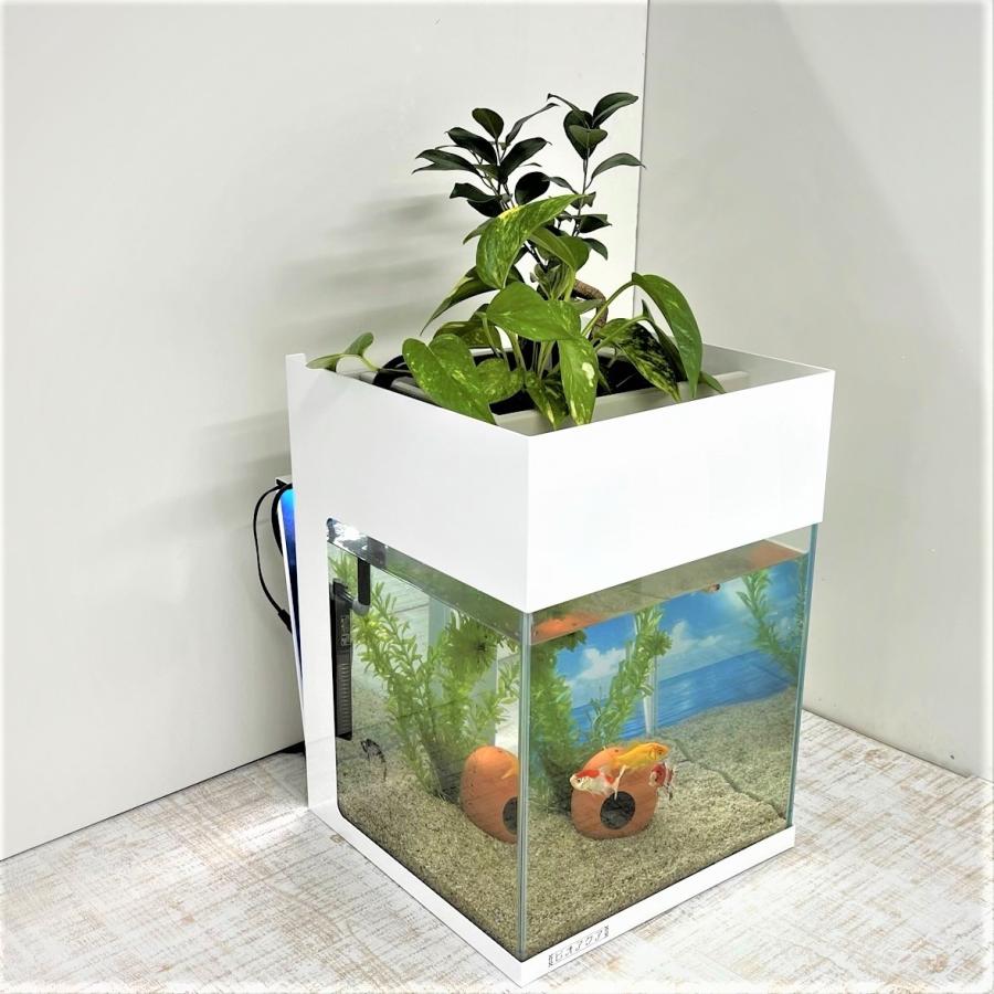 送料無料 水替え不要水槽 ビオアクア 30型 25ｌ 基本水槽と照明 スチールカバーセット 金魚や熱帯魚の水槽にピッタリ 観葉植物が水をキレイにします Sba 30s 西条庭園 通販 Yahoo ショッピング