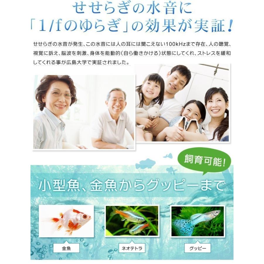 乗り換えセット 60x30cm水槽 金魚王子用 金魚 ろ過 アクアリウム 水槽 飼育 用品 50hz 水換えを大幅に省く 東日本用