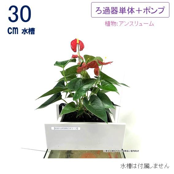 送料無料】30cm型 ろ過装置単品＆循環ポンプ配管セット(水槽なし 