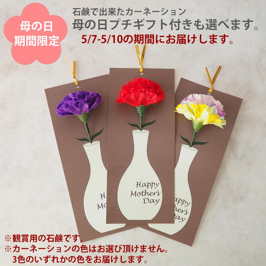 遅れてごめんね カーネーション 工芸茶 アソート6個 ギフト缶入 白茶