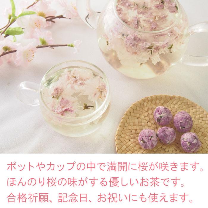 満開さくら茶 ＆ティーポットセット 桜 桜茶 花茶 フラワーティー 工芸