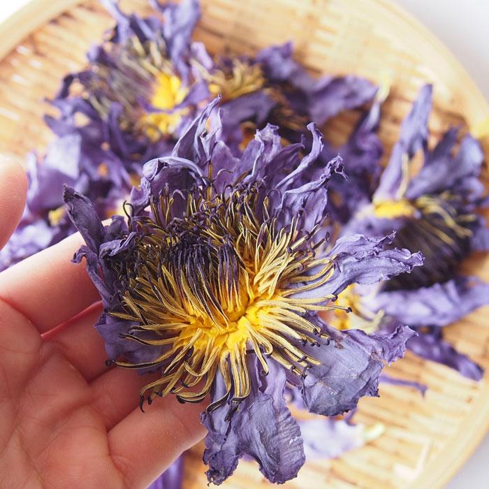 香るブルーロータスティー20g 花だけ使用 青蓮 フラワーティー