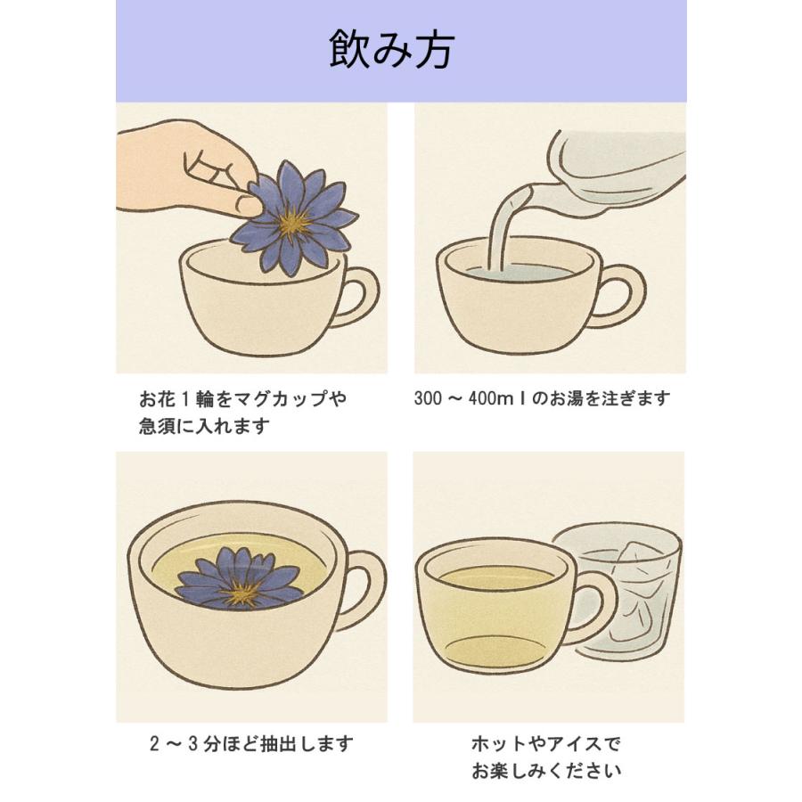 ブルーロータス ドライフラワー 100%有機栽培140g ブルーロータス