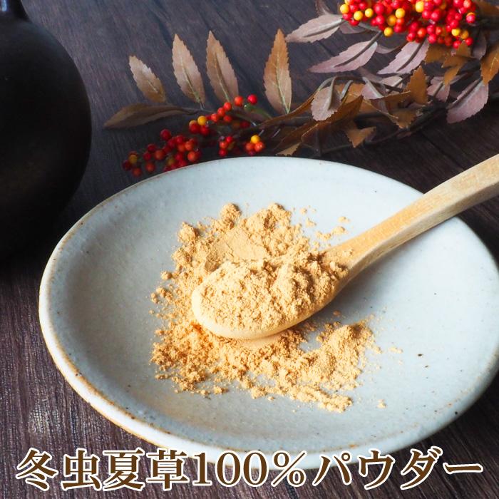 冬虫夏草パウダー100g 冬虫夏草100％ 粉末 とうちゅうかそう