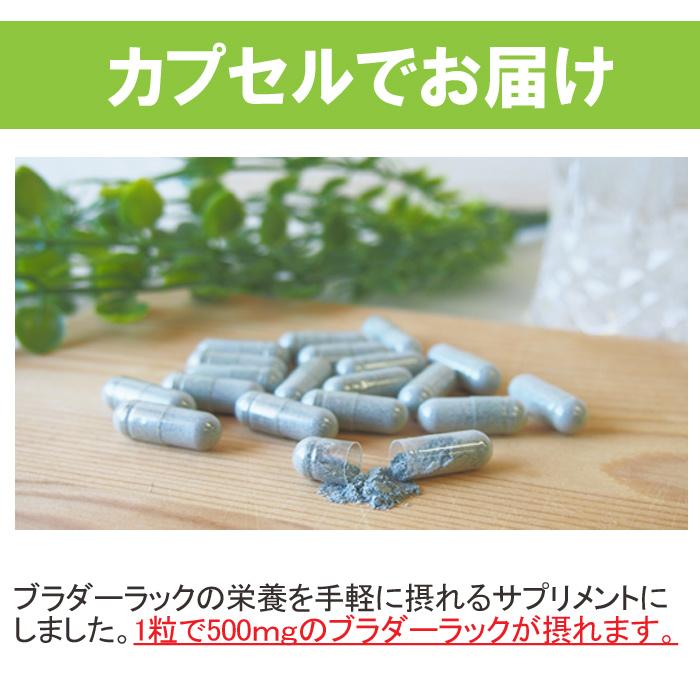 ブラダーラックサプリメント30粒 ヒバマタエキス1粒500mg 海藻 ヨウ素 