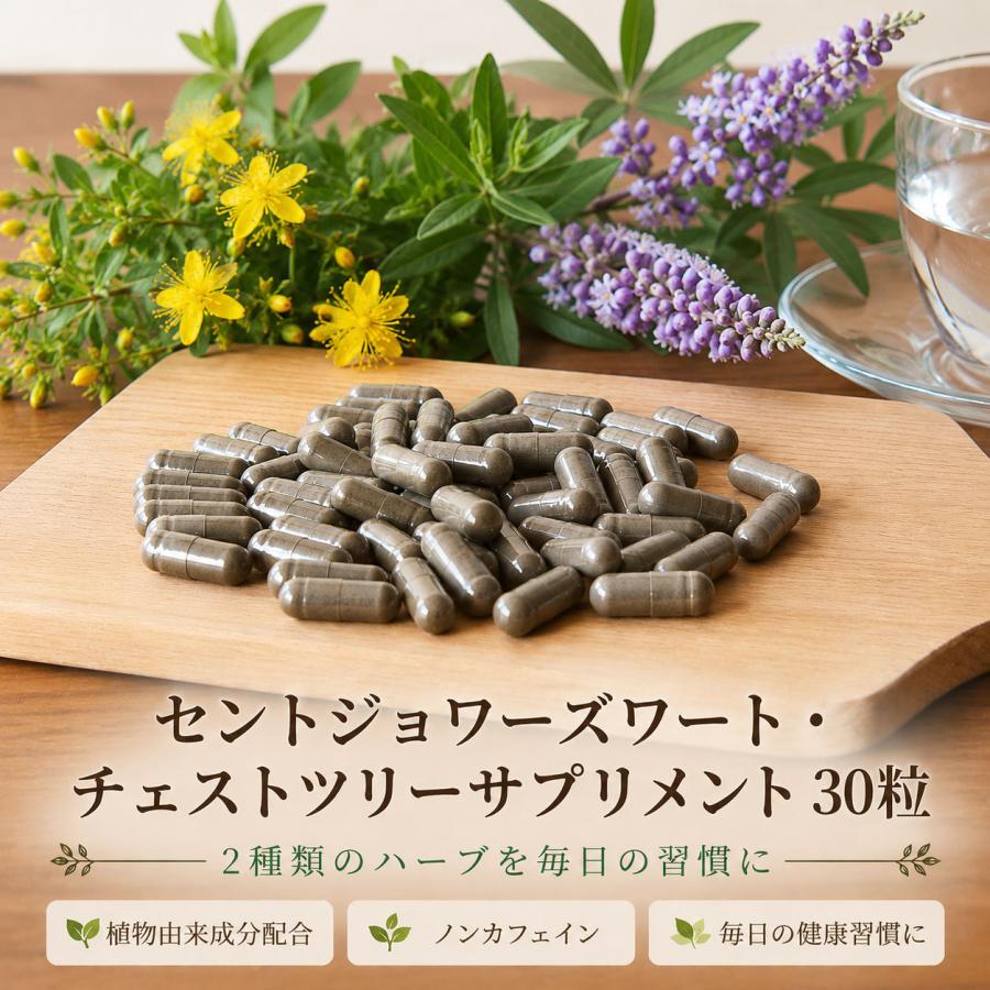 在庫限りで終了 セントジョワーズワート450mg チェストツリー50mg配合