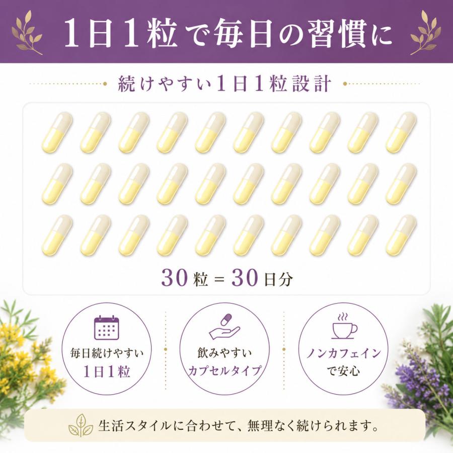 在庫限りで終了 セントジョワーズワート450mg チェストツリー50mg配合