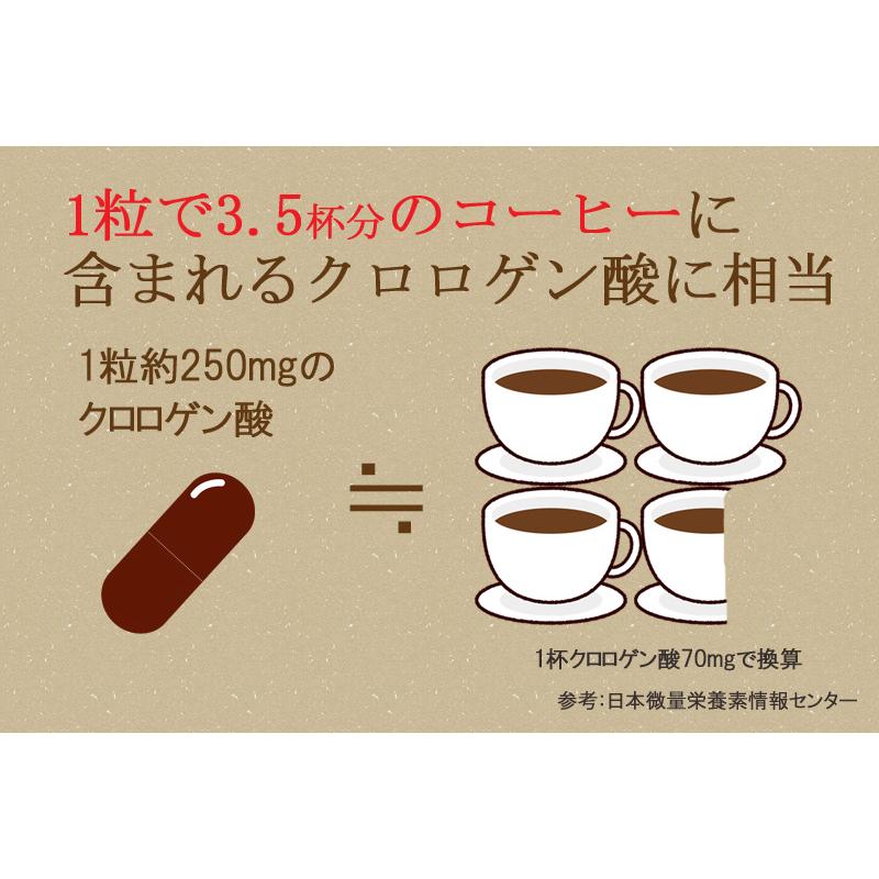 クロロゲン酸サプリメント30粒 ダイエット グリーンコーヒー 生豆抽出 
