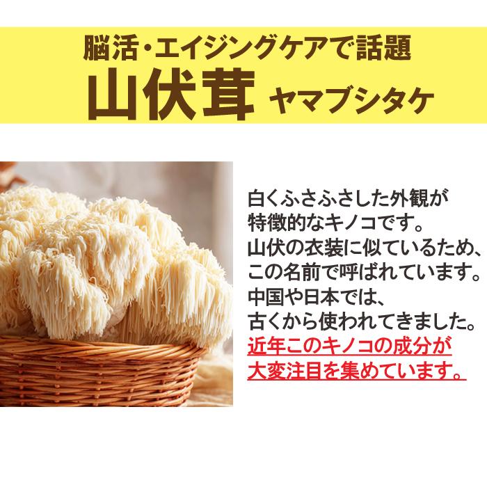 ヤマブシタケサプリメント60粒(約2ヶ月分) 高濃度エキス配合 脳活