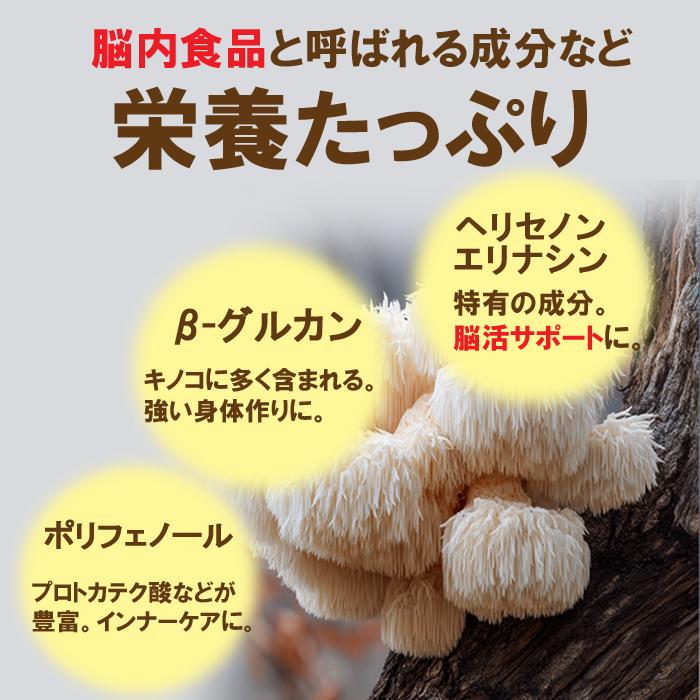 ヤマブシタケサプリメント60粒(約2ヶ月分) 高濃度エキス配合 脳活