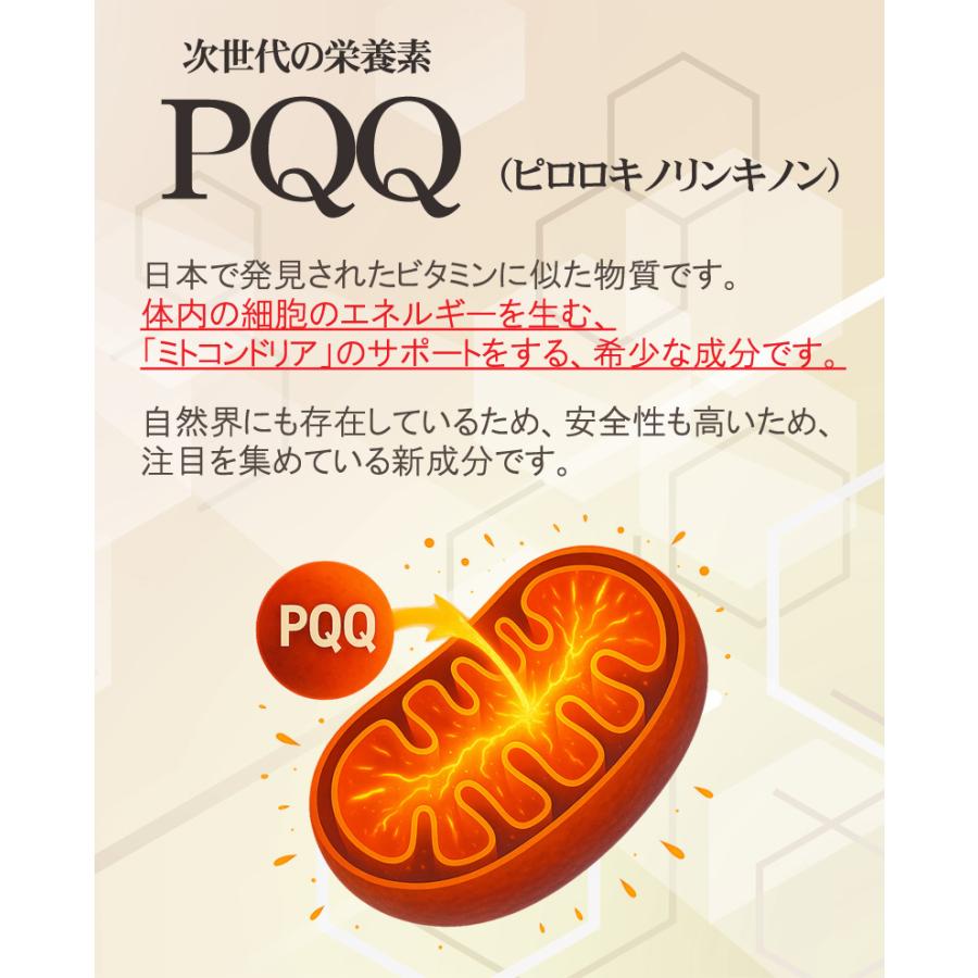 PQQサプリメント30粒 pqq20mg配合 ピロロキノリンキノン