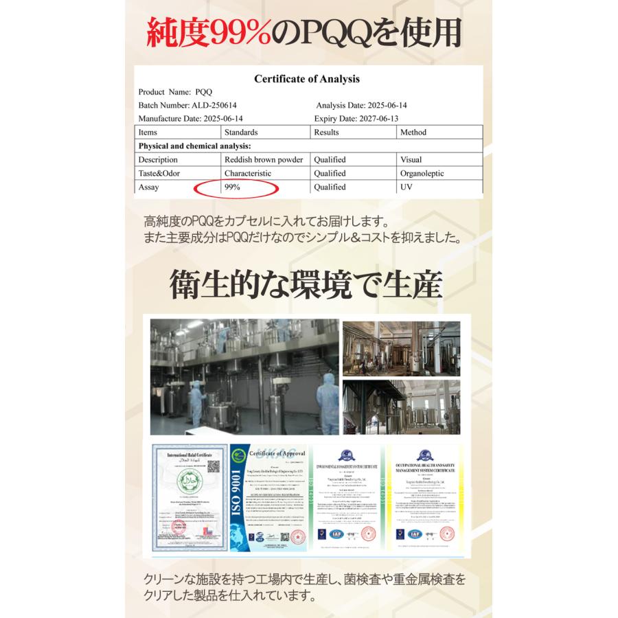 PQQサプリメント30粒 pqq20mg配合 ピロロキノリンキノン 
