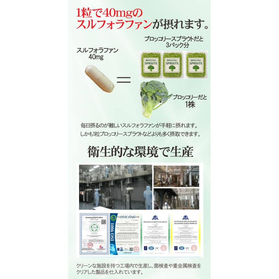 スルフォラファンサプリメント30粒(約1ヶ月分) ブロッコリー