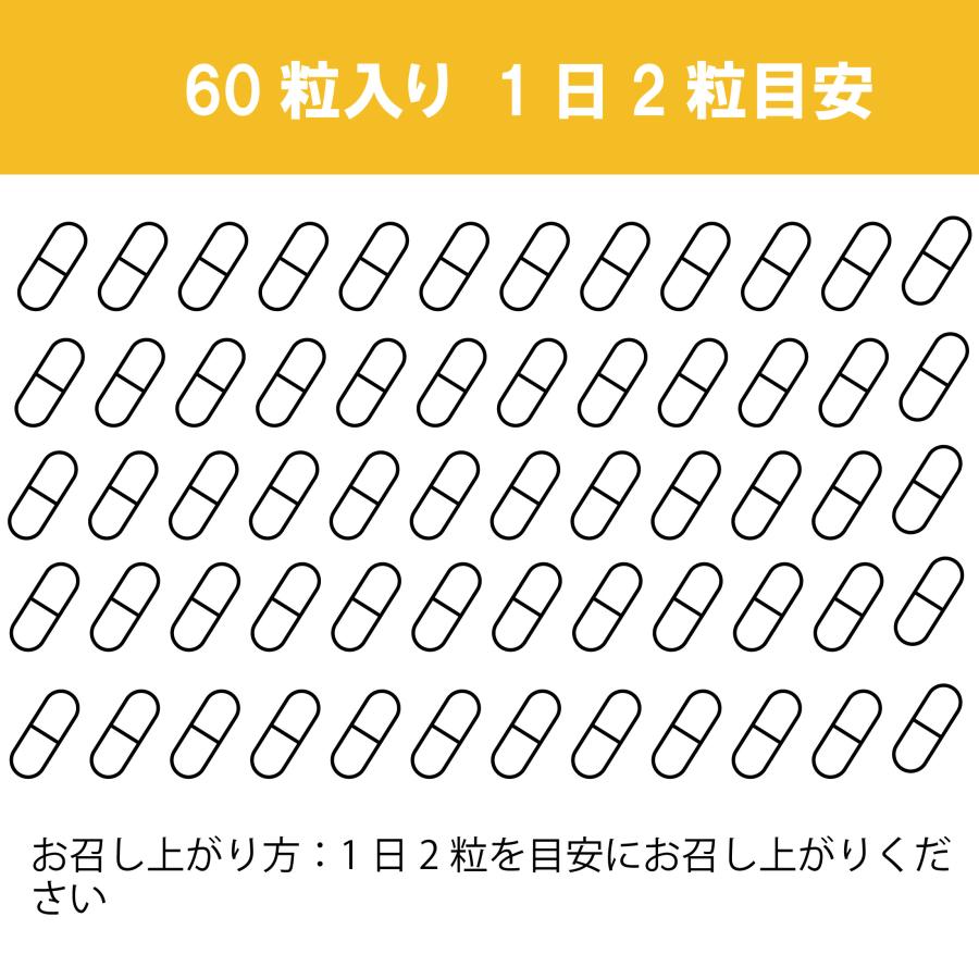 ビタミンC L-システイン 乳酸菌 サプリ 栄養機能食品 60粒 約30日分